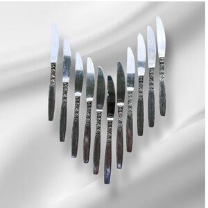 Vintage Oneida Japan Everbrite Premier EVS 39 Set Of 11 Knives Silverware